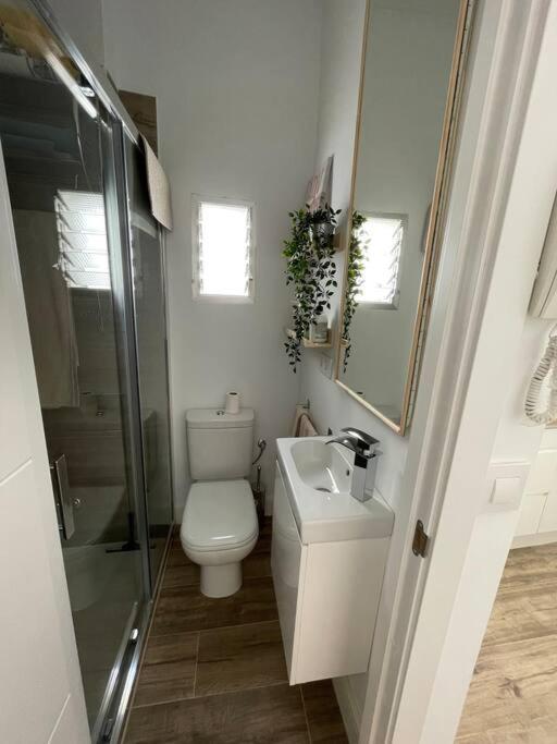 Atico Duplex Con Terraza En Pleno Centro De Jerez *