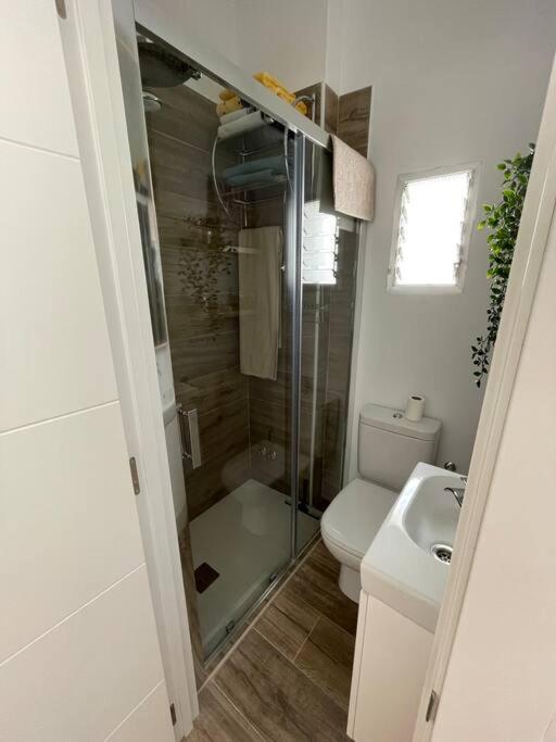 Atico Duplex Con Terraza En Pleno Centro De Jerez * Jerez de la Frontera